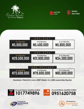 Oil Palm plantation 5