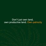 Don’t Just Own Land. Own Plam City