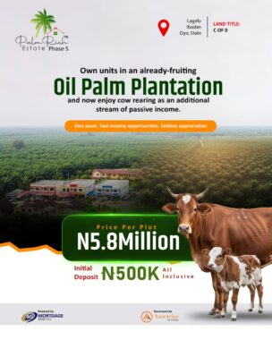 Palmrich Farm Estate Phase 5 Lagelu Oyo state