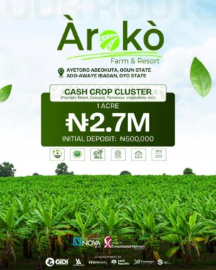 Aroko farm resort 20