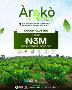 Aroko farm resort 25