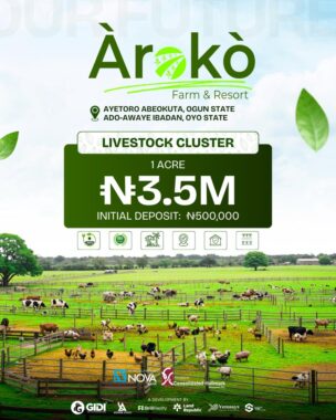 Aroko farm resort Aiyetoro 022