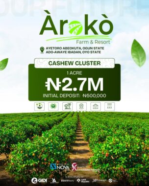 Aroko farm resort Ogun State