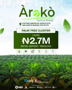 Aroko farm resort oyo state 24