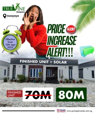 Truevine Bungalow oribanwa Awoyaya 0051