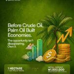 Our Economy Before The Crude Oil Discovery