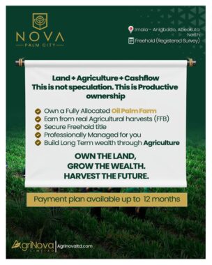 Nova palm city Anigbado ogun state palm plant 0116