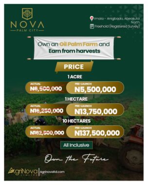 Nova palm city abeokuta anigbado plantation 4
