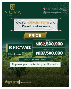 Nova palm city abeokuta ogun plantation 13