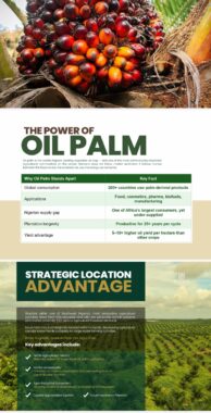 Nova palm city anigbado Abeokuta ogun state 411