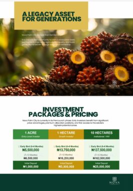 Nova palm city anigbado Abeokuta ogun state 50