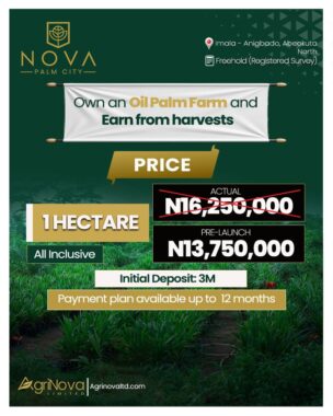 Nova palm city anigbado imala ogun
