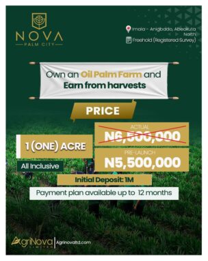 Nova palm city imala anigbado abeokuta ogun 11