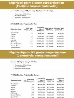 The Nova palm city FFB projections acre hectare