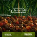 Own The Asset Behind The Consumption