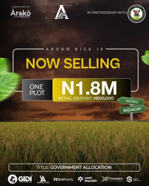 Aroko Rice farm Badagry lagos 047