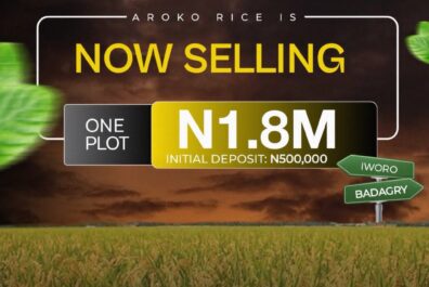 Aroko Rice farm Badagry lagos 047 Home