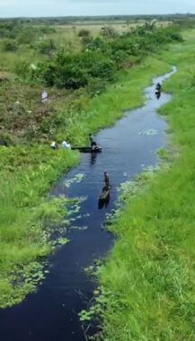 Aroko rice farm estate badagry lagos state 6