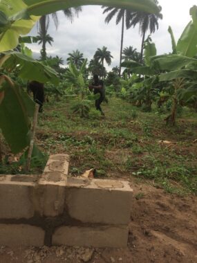 Cocoa republiq farm estate obafemi owode ogun 6