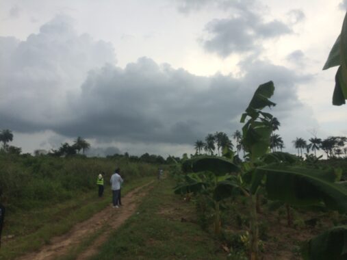 Cocoa republiq farm estate obafemi owode ogun 87