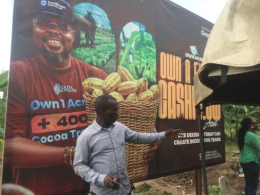 Cocoa republiq farm estate obafemi owode ogun 9